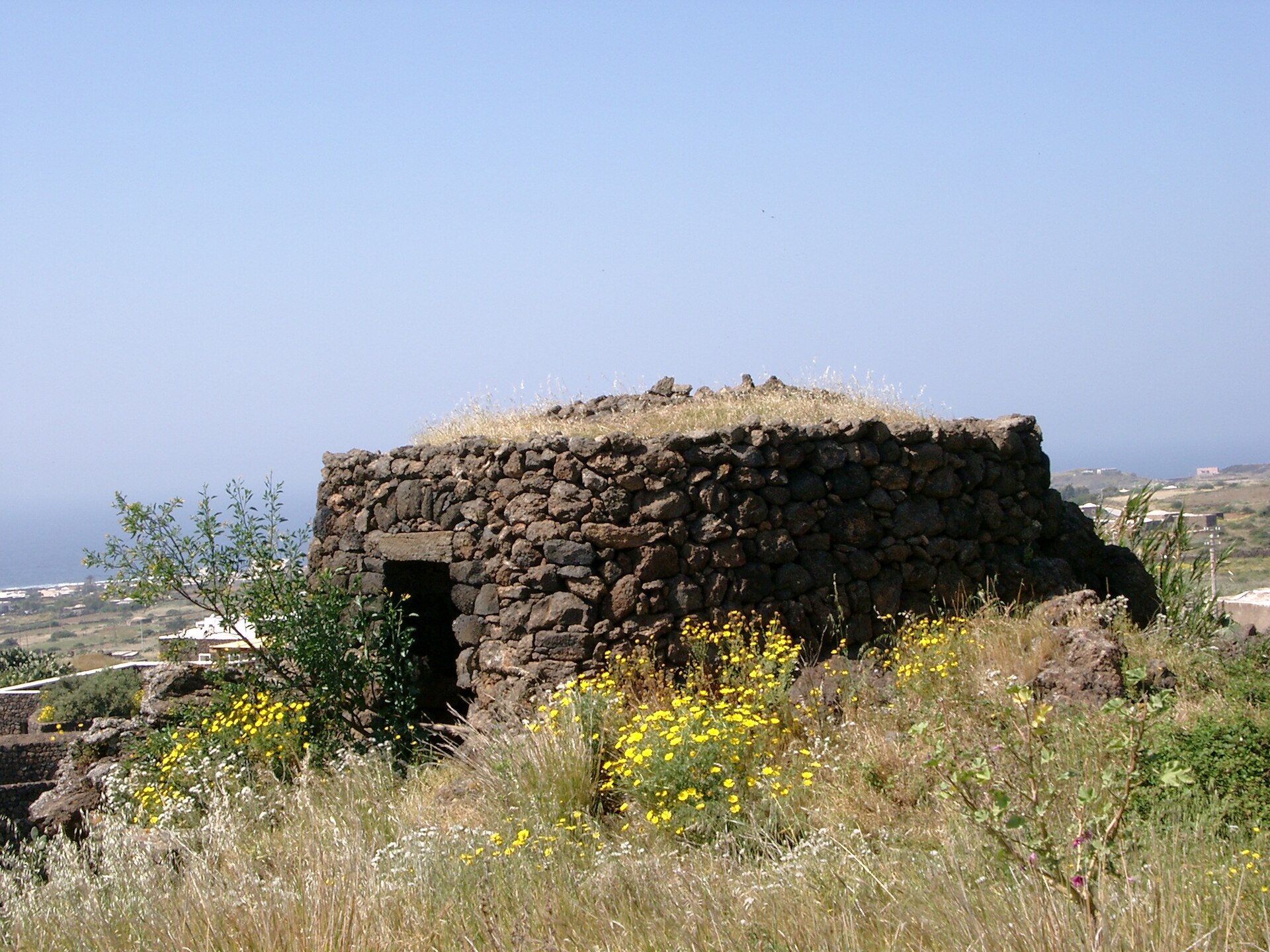 Traditional Pantelleria dammuso built of dry-stone black lava with a domed roof among wildflowers